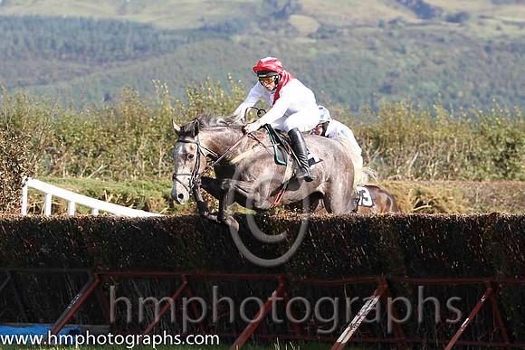 01 The Grey Taylor & J J Codd - winner (14, white, red sash) - FT8E8125-73