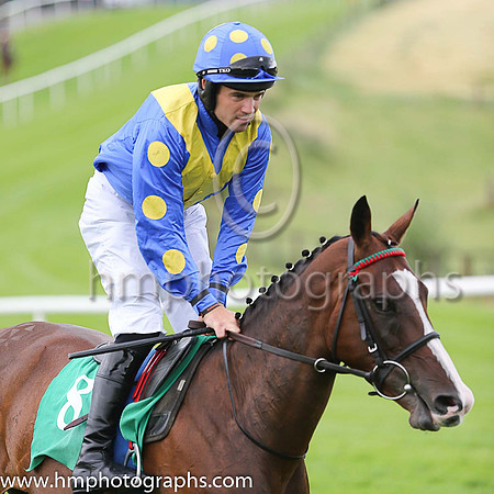 PU Bellathebutterfly and R C Colgan ( 8 , royal blue, yellow chevron ) Trainer - T G McCourt