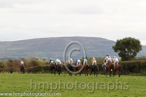 01 The Last Derby & R James - Winner (2, tangerine, green chevrons) - FT8E8419-20