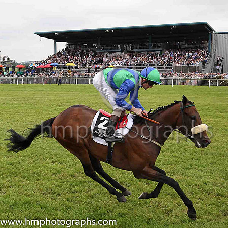 01st Stellar Mass and Kevin Manning, trainer J S Bolger win the Magners Ulster Derby of 100,000 Euro (Premier Handicap) at Down Royal