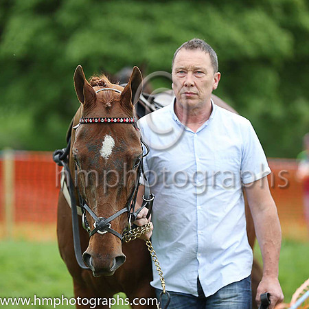 01st THE TRIGGER and J J Codd ( 13 , WHITE,red stars; red, plain sleeves; red cap,white star ) Trainer: Caroline McCaldin,, Owner : James Killen