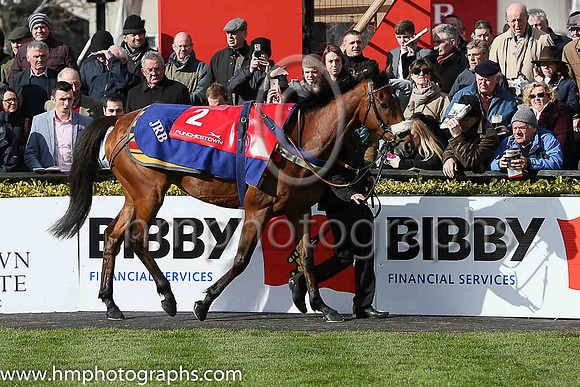 04th CUE CARD ( 2 , royal blue, pink star ) and Paddy Brennan - Trainer : Colin Tizzard