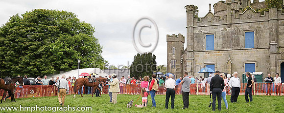 The Fermanagh Harriers Hunt Club P2P at Necarne
