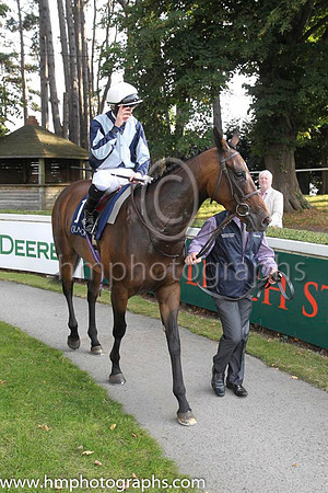 01 Fiesolana and W J Lee - - 01st (1 ,dark Blue, light blue cross sashes ) Trainer - W McCreery