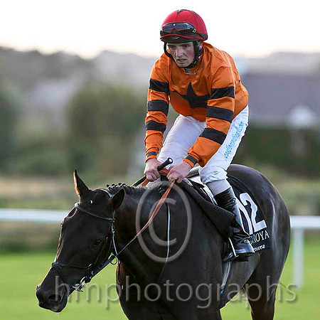 Windsor Pride & C D Hayes - Winner (12, Orange, Black star) - CU2D3488-e