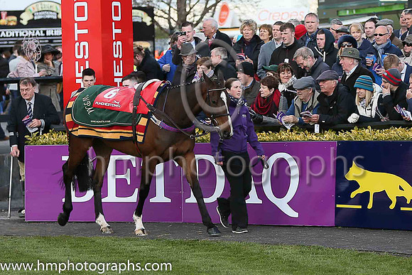 01st Vroum Vroum Mag ( 6 , pink, light green spots, and cap ) and R Walsh - Trainer : W P Mullins