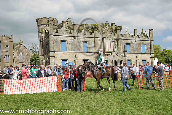Horses leave the parade ring at Necarne P2