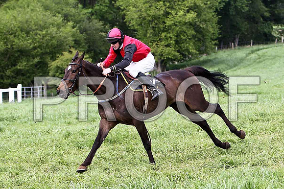 Fifth Race Div 1 - Maple Valley Gale (32) 4th, Rider M J O'Hare - CU2D9666-e