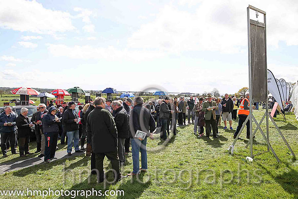 Spectators mark their race cards