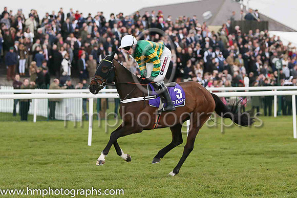 03rd My Tent Or Yours ( 3 , emerald greeen and orange hooped, white cap ) and Barry Geraghty - Trainer : Nicky Henderson