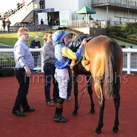 01st Set To Fire  Sean Davis (12, royal blue, royal blue and yellow sleeves) Trainer John James Feane, Owner Ms Orlagh Reynolds