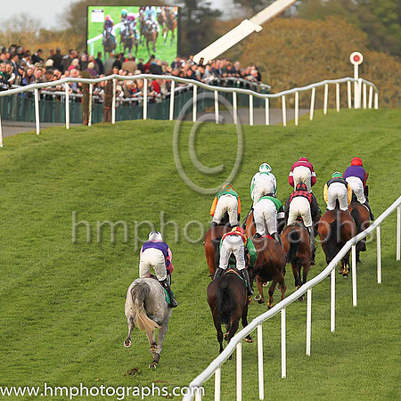Downpatrick Race Course