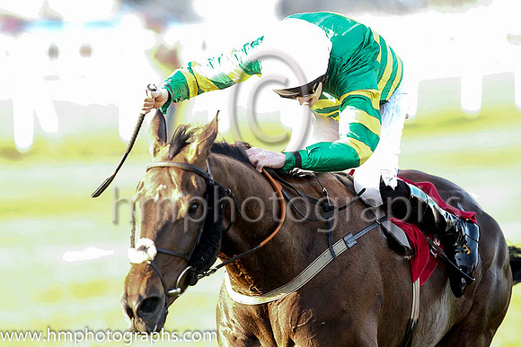 01st Elegant Statesman (7, emerald green and orange hooped) and Mark Walsh, trainer Henry De Bromhead. Owner John P McManus