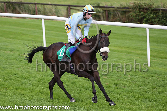 01st Tb Broke Her and D Meyler ( 11 , light blue, yellow hoop ) Trainer - A L T Moore