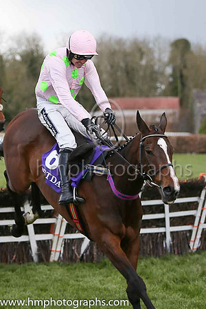 01st Vroum Vroum Mag ( 6 , pink, light green spots, and cap ) and R Walsh - Trainer : W P Mullins