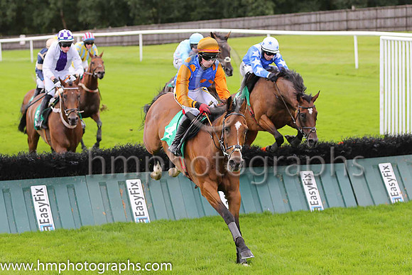 03rd Lord De Beaufai and D Meyler ( 4 , royal blue, orange spots ) Trainer - A J Martin