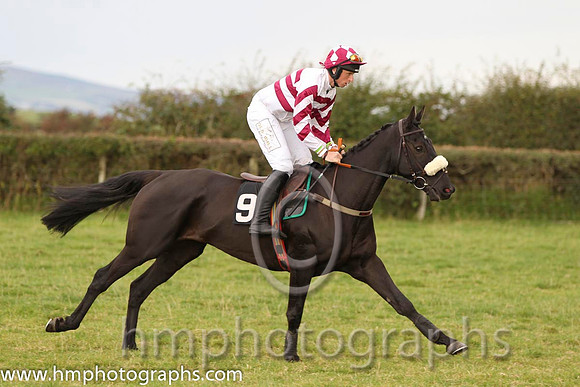 02 River Clare & J j Codd - 2nd (9, white and maroon hoops) - FT8E8317-22