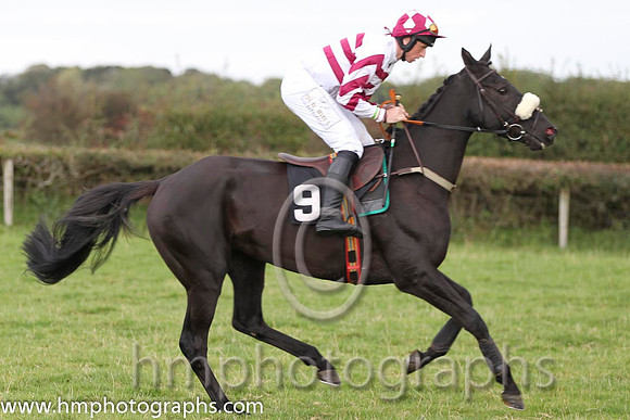 02 River Clare & J j Codd - 2nd (9, white and maroon hoops) - FT8E8319-24