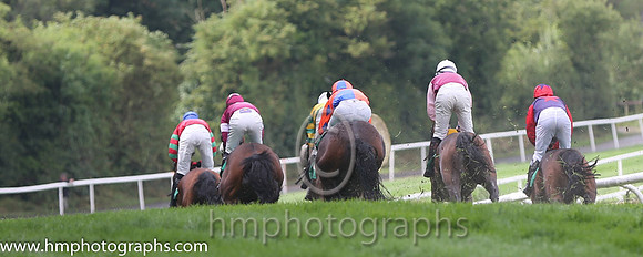 Downpatrick Race Course - Down The Hill - AA1V0843