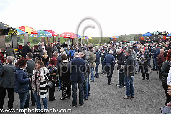 Spectators at Downpatrick Racecourse