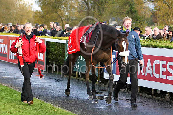 Kauto Star , Jockey Ruby Walsh - Winner - CU2D1068-e2