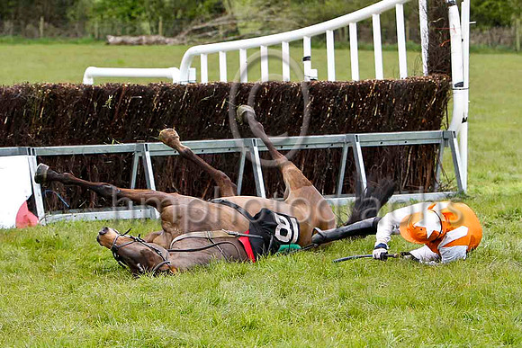 Baba Black Sheep (18) & B O Walsh - FFT8E1713-e