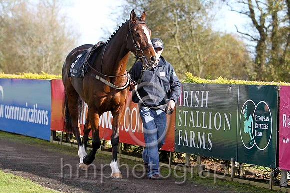 Sole Witness - 8th (3, emerald green, red sash) - FT8E7840-e