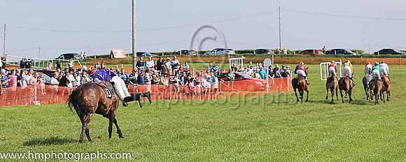 TULLYORIOR and R A Devine ( 10 , PURPLE; white sleeves; red cap,white star ) Trainer: Catherine Barry , Owner : Catherine Barry