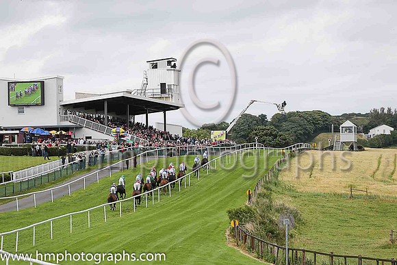 Downpatrick Racecourse