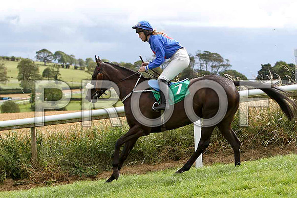 Lea Lady - 6th, Jockey Miss C L Fahey   - FT8E3869-e2