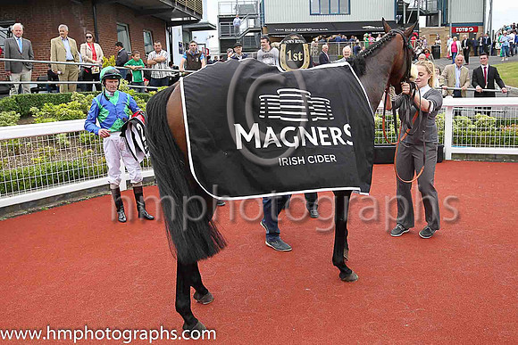 01st Stellar Mass and Kevin Manning, trainer J S Bolger win the Magners Ulster Derby of 100,000 Euro (Premier Handicap) at Down Royal
