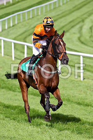 Unico 4th, Jockey A P Thornton- CU2D1768-e