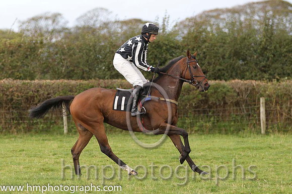 06 Steady Progress & S G Carey - 6th (11, black, white stars) - FT8E8304-13