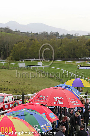 Downpatrick Racecourse with the Mourne Mountains in the background