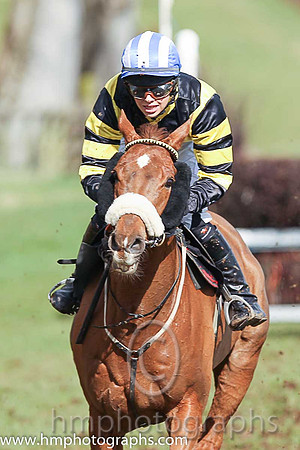 LUSKA LAD and Miss A O'Connor ( 16 , YELLOW,black cross belts; black,yellow hooped sleeves; royal blue  white striped cap ) Trainer: John Joseph Hanlon,, Owner : Partnership Pa  Se