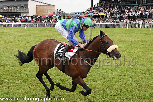 01st Stellar Mass and Kevin Manning, trainer J S Bolger win the Magners Ulster Derby of 100,000 Euro (Premier Handicap) at Down Royal