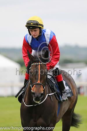 01st Lady Mega and Robbie Downey , trainer Edward Lynam winners of The Louis Roederer Handicap at Down Royal