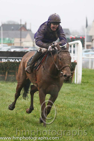 03 Court Jester and Jody McGarvey - - 03rd (7 ,purple, purple cap ) Trainer - S Wilson