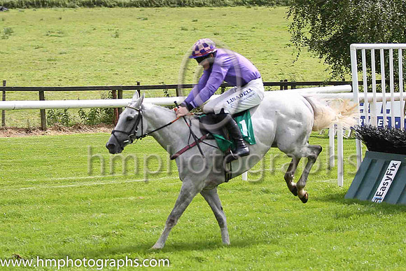 08th Erlkonig and G N Fox ( 1 , purple ) Trainer - A Mullins