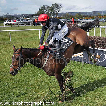 02nd Sue Oscar ( 8 , black, large white spots ) and K M Donoghue - Trainer : G P Cromwell - Owner : Miss Susan Barton