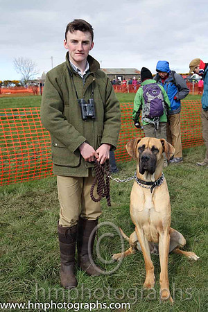 Canall McGrath from Scarvagh with one year old Great Dnhe Harry at the County Down P2P at Loughbrickland