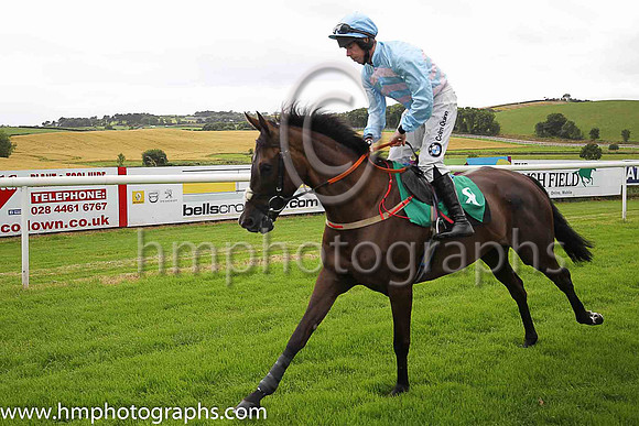 05th Idee Emeryand A E Lynch ( 8 , light blue and pink chevrons ) Trainer - H de Bromhead