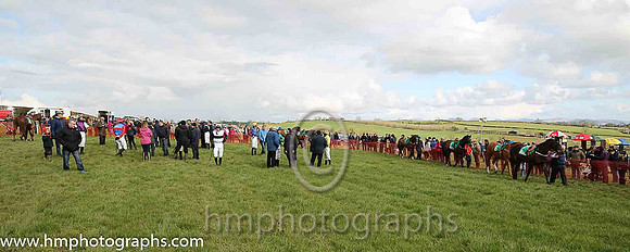 Parade Ring at County Down Hounds P2P at Loughbricjland
