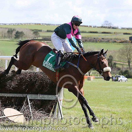 01st SHALUNA and R Deegan ( 7 , DARK GREEN,pink chevron; dark green,pink armlet sleeves; dark green cap,pink star ) Trainer: Aidan Fitzgerald,, Owner : Peter Stone