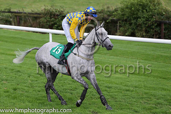 12th Nevada Rose and A McCurtin ( 15 , royal blue and yellow check ) Trainer - H Smyth