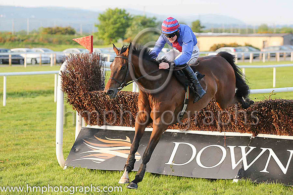 01st Kylestyle (5, royal blue, red panel) and Ger Fox, Trainer F Flood, Owner John Nestor