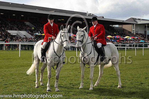 The parade - The Bibby Financial Services Ireland Punchestown Gold Cup of 200,000 Euro (grade 1)