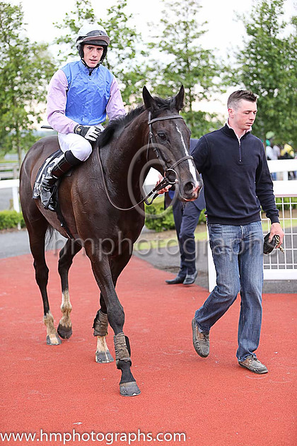 Shane Shortall hmphotographs | 2016/05/27th - Barclay Communications Race evening at ...