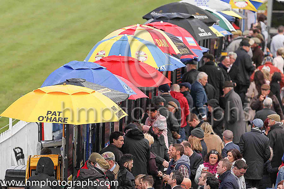 Spectators at Down Royal on May Day 2016