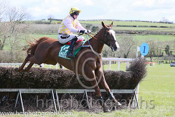 BATTLE HARD and H D Dunne ( 14 , PINK  YELLOW CHECK; pink sleeves; yellow cap ) Trainer: Warren Ewing,, Owner : Warren Ewing